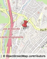Piazza Attilio Omodei Zorini, 34,00166Roma