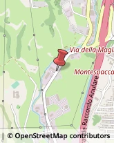 Via della Maglianella, 375,00166Roma