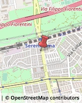 Viale della Serenissima, 145,35131Roma