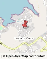 Località Liscia di Vacca, ,07021Arzachena