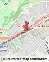 Via Aurelia, 860,00165Roma