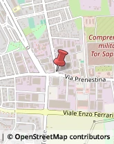 Via di Tor Sapienza, 211,00155Roma