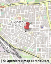 Via del Pigneto, 158/A,00176Roma