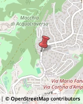 Viale Cortina D'ampezzo, 210,00135Roma