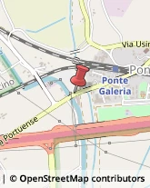 Via Portuense, 1555,00148Roma