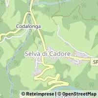 नक्शा Selva di Cadore