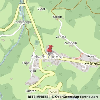 Mappa Piazza San Lorenzo, 1, 32020 Selva di Cadore, Belluno (Veneto)