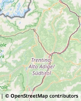 Rivestimenti in Legno Bolzano,39100Bolzano