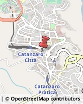 Vivai Piante e Fiori Catanzaro,88100Catanzaro