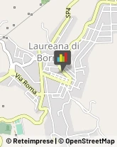 Corpo Forestale Laureana di Borrello,89023Reggio di Calabria