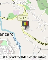 Imprese di Pulizia Catanzaro,88100Catanzaro