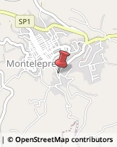 Tour Operator e Agenzia di Viaggi Montelepre,90040Palermo