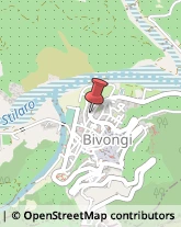 Cartolerie Bivongi,89040Reggio di Calabria