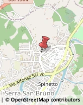 Licei - Scuole Private Serra San Bruno,89822Vibo Valentia