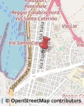 Piante e Fiori - Dettaglio Reggio di Calabria,89122Reggio di Calabria