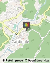 Comuni e Servizi Comunali Cardinale,88062Catanzaro