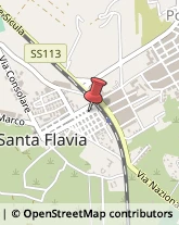 Piante e Fiori Artificiali - Dettaglio Santa Flavia,90017Palermo