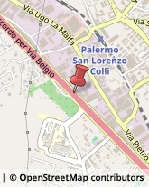 Articoli da Regalo - Dettaglio Palermo,90146Palermo