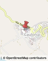 Parrucchieri Caulonia,89041Reggio di Calabria