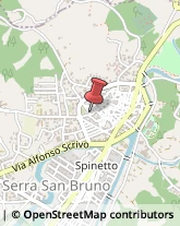 Commercio Elettronico - Società Serra San Bruno,89822Vibo Valentia