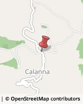 Animali Domestici - Centri Allevamento e Addestramento Calanna,89050Reggio di Calabria
