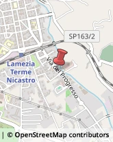 Trasportatori Meccanici Lamezia Terme,88046Catanzaro