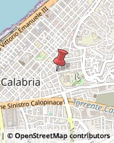 Piante e Fiori - Dettaglio,89128Reggio di Calabria