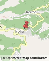 Corpo Forestale Polia,89813Vibo Valentia