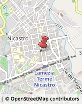 Consulenza di Direzione ed Organizzazione Aziendale Lamezia Terme,88046Catanzaro