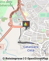 Timbri e Numeratori Catanzaro,88100Catanzaro