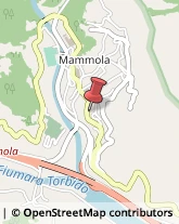 Corpo Forestale Mammola,89045Reggio di Calabria