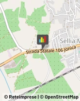 Tende da Sole Sellia Marina,88050Catanzaro