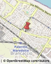 Articoli per Ortopedia Palermo,90123Palermo