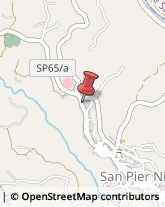 Vini e Spumanti - Produzione e Ingrosso San Pier Niceto,98045Messina