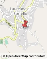 Commercialisti Laureana di Borrello,89023Reggio di Calabria