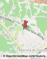 Gioiellerie e Oreficerie - Dettaglio Marina di Gioiosa Ionica,89046Reggio di Calabria