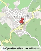 Naturopatia Varapodio,89010Reggio di Calabria