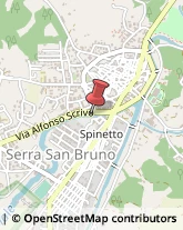 Rigattieri Serra San Bruno,89822Vibo Valentia