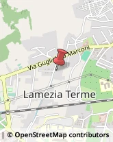 Trasporti Refrigerati Lamezia Terme,88046Catanzaro