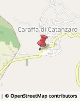 Autotrasporti Caraffa di Catanzaro,88050Catanzaro