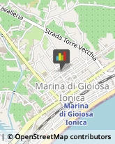 Piante e Fiori - Dettaglio Marina di Gioiosa Ionica,89046Reggio di Calabria