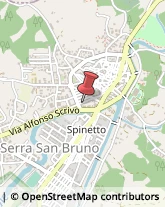 Assicurazioni Serra San Bruno,89822Vibo Valentia