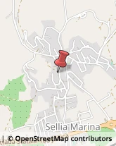Professionali - Scuole Private Sellia Marina,88050Catanzaro