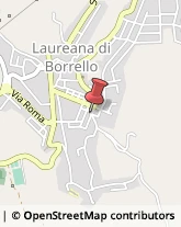 Aziende Sanitarie Locali (ASL) Laureana di Borrello,89053Reggio di Calabria