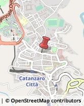 Articoli Carnevaleschi e per Feste Catanzaro,88100Catanzaro