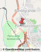 Parrucchieri,88100Catanzaro