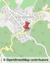 Assicurazioni Varapodio,89010Reggio di Calabria