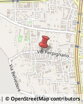 Via Perpignano, 300/I,90100Palermo