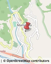 Panetterie Mammola,89045Reggio di Calabria