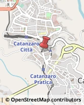 Pediatri - Medici Specialisti Catanzaro,88100Catanzaro